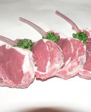 Vier rohe Lammkoteletts mit Knochen, garniert mit Kräutern auf hellem Hintergrund.