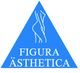 Blaues Dreieck mit weißer Figur und der Aufschrift "FIGURA ÄSTHETICA".