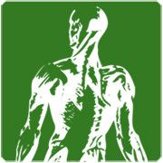 Silhouette eines muskulösen Rückens in Weiß auf grünem Hintergrund.