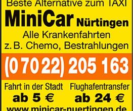 TAXI Alternative Minicar Logo