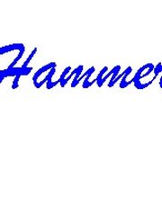 Simones Hammerladen Logo
