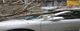 Tree fallen on silver car; branches covering roof and windshield.
