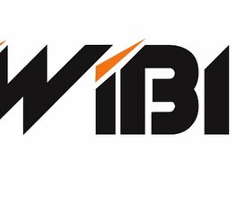 WiBIT GmbH Logo