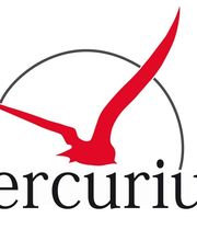 Mercurius LTD. Logo