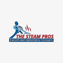 Logo of The Steam Pros, Carpet and Upholstery Cleaners, with a stylized figure and steam lines.