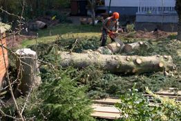 Arbeiter mit Helm zersägt Baumstamm mit Motorsäge im Garten.
