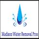 Logo with a blue water droplet and splashes, labeled "Madison Water Removal Pros."
