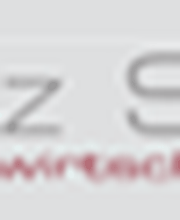 steuern + wirtschaft + treuhand Logo