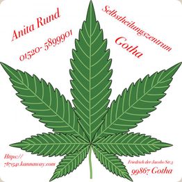 Ein großes Cannabisblatt mit Kontaktinformationen und Standort eines Selbstheilungszentrums.