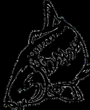 Wolfis Angelshop, Angelfachmarkt Logo