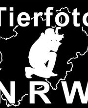 Tierfotografie-NRW Logo
