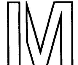 IM Logo