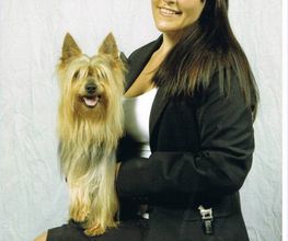 Australian Silky Terrier Logo