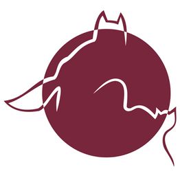 Roter Kreis mit stilisiertem Pferde-Cartoon, Konturen in Weiß auf rotem Hintergrund.