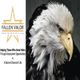 Close-up of a bald eagle with Fallen Valor logo and mission statement on the left side.