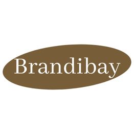 Logo ovale marron avec le mot "Brandibay" en blanc au centre.