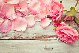 Rosa Rosenblütenblätter auf verwittertem Holz.