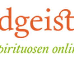 brandgeister.de Logo