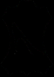 Umriss einer Lederhaut in Schwarz-Weiß.