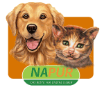 Hund und Katze vor orangefarbenem Hintergrund, darunter der Text "NAPUR, das Beste für unsere Lieben".