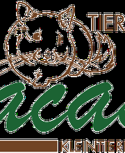 Macasdo e.K. Logo