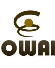 Nowak-büro Logo