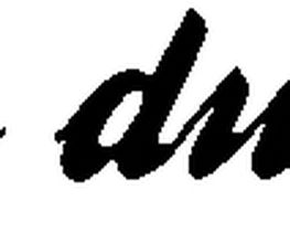 Webdesign Dubiel Logo