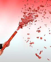 Rosenblütenregen - Romantisch nach der Trauung