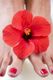 Rote Hibiskusblüte zwischen Füßen mit rot lackierten Nägeln.