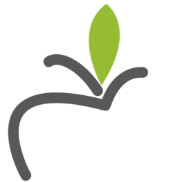 Logo stilizzato con curva grigia e foglia verde sopra.