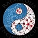 Simbolo yin yang con ingranaggi blu e rete di atomi rossi, testo: "Rainaldus Encignerius".