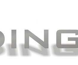 Büdinger-IT Logo