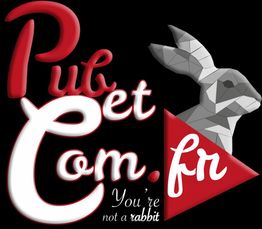 Logo avec texte "Pub et Com.fr" et lapin gris, écrit "You're not a rabbit".