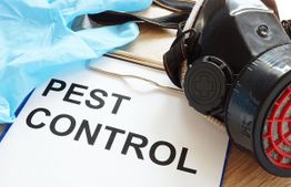 Pest control clipboard with gloves and a respirator mask on a wooden surface.