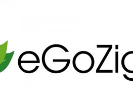eGo Store GmbH Logo
