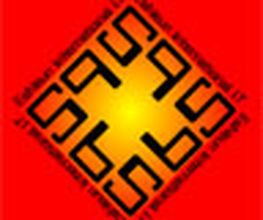 EsNeun International IT Logo