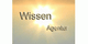 Text "Wissen Agentur" vor Sonnenstrahlenhintergrund.