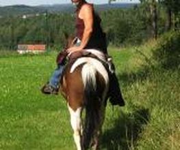 Stormy Horse Ranch Logo
