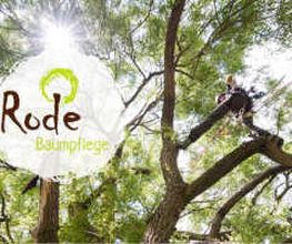 Rode Baumpflege Logo