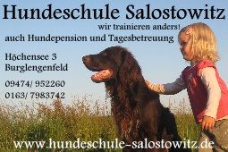 Kind mit Hund, Werbung für Hundeschule Salostowitz mit Kontaktdaten und Webseite.