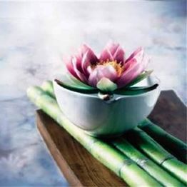 Weiße Schale mit rosa Lotusblume auf grünem Bambus, ruhige und meditative Szene.