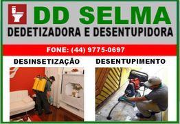 Profissional dedetizando sala, outro desentupindo encanamento, texto: DD Selma, contato disponível.