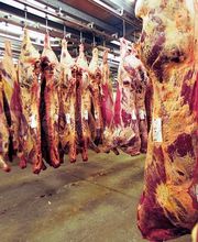 TR-BEEF Fleisch Großhandel Bayern Logo