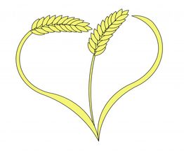 Due spighe di grano giallo formano un cuore su sfondo bianco.
