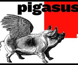 pigasus - music gallery Logo