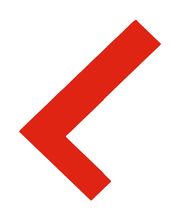Lordhair Logo