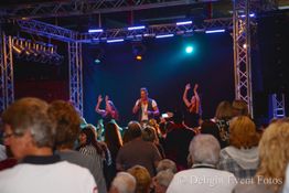 Ein Sänger tritt auf einer beleuchteten Bühne auf, umgeben von tanzendem Publikum.