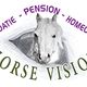 Logo met paard, tekst: "Revalidatie - Pension - Homeopathie, Horse Vision".