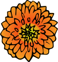 Fleur orange stylisée avec pétales en spirale et centre jaune et vert.