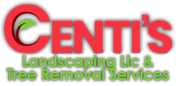Centi's Landscaping LLC & Tree Removal logo with green leaf inside a red "C".